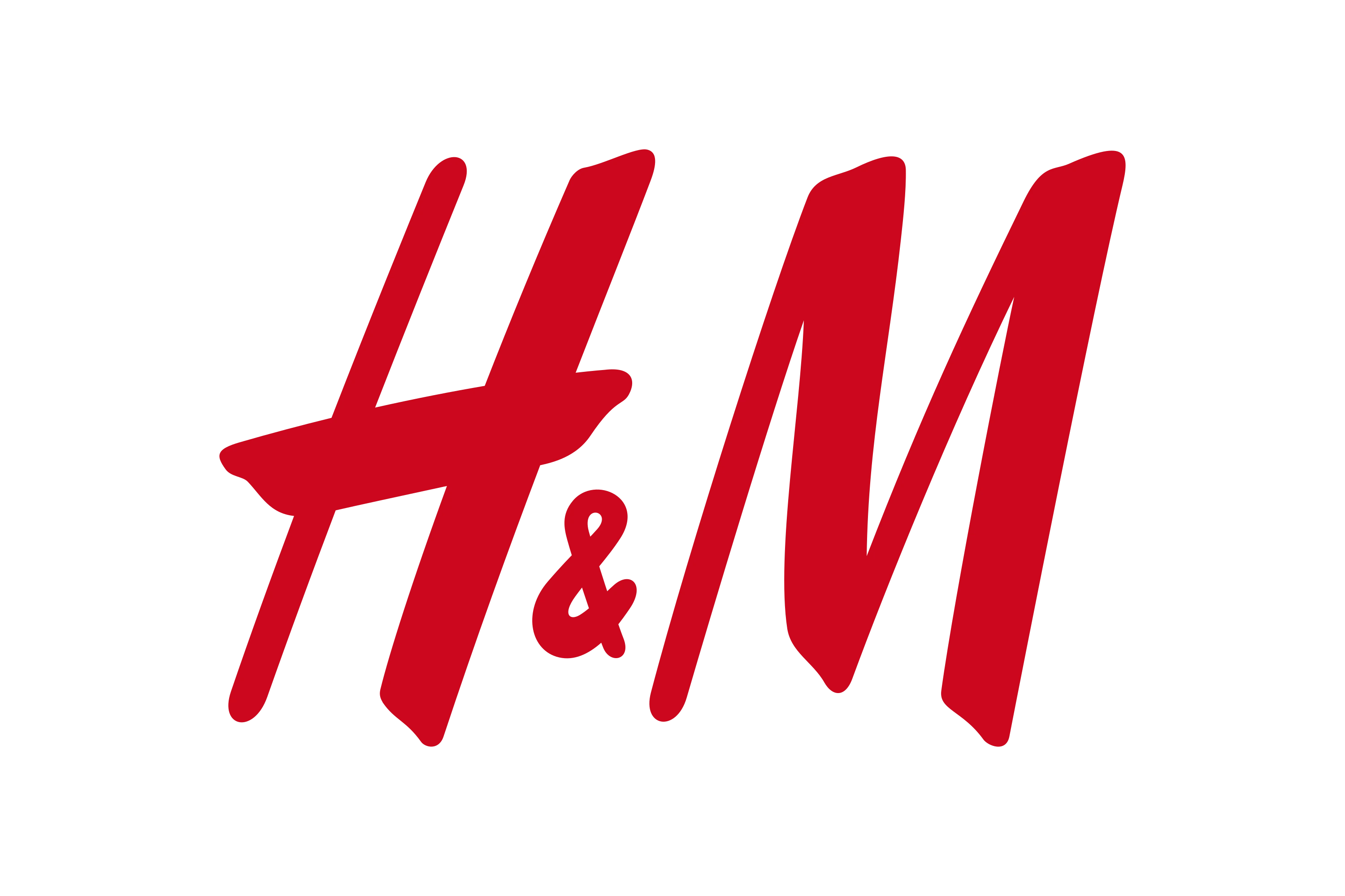 Hennes & Mauritz Brand Logo