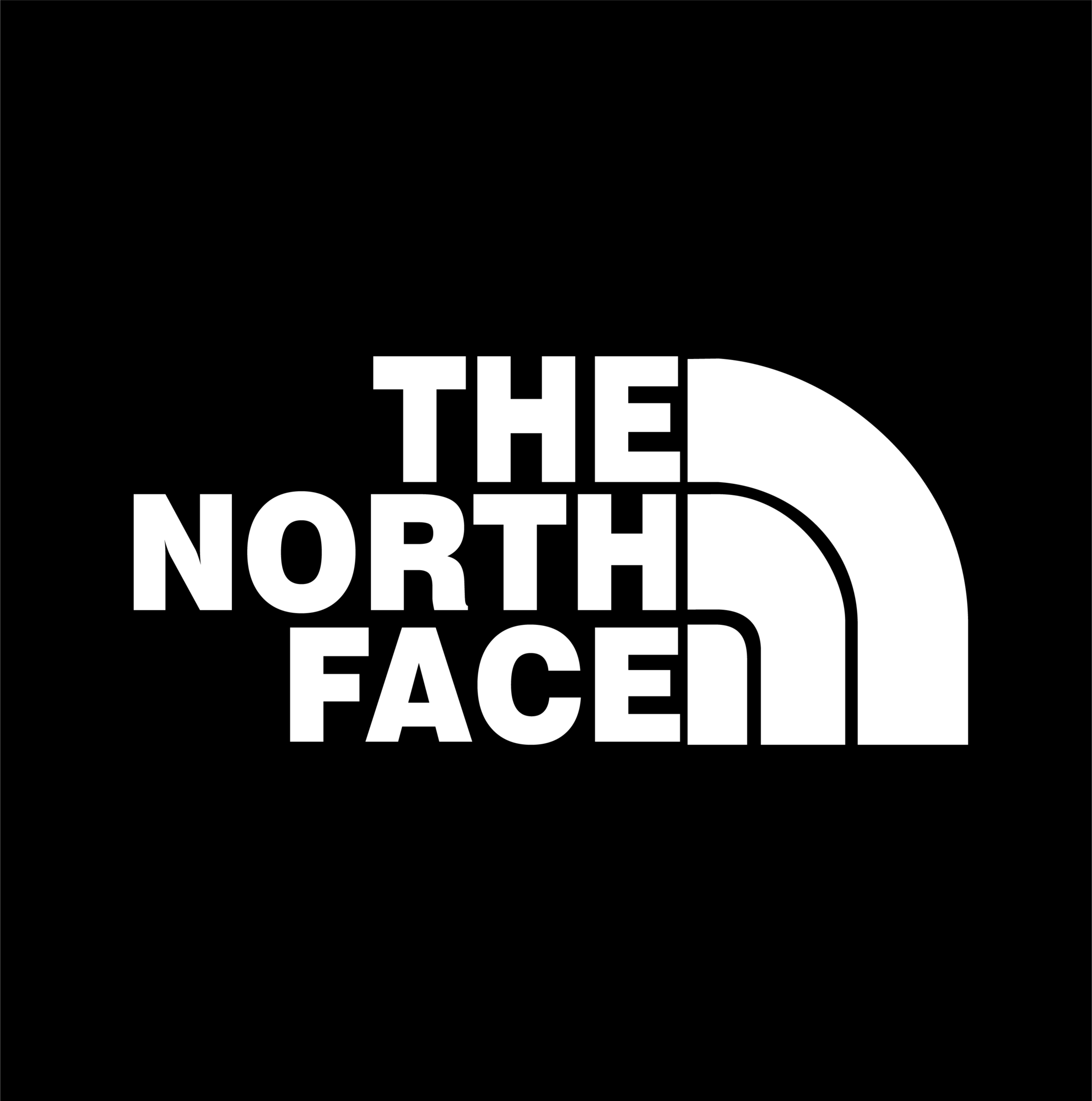 the north face brand logo